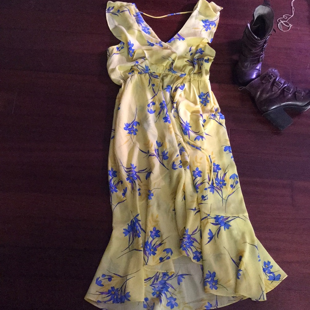 Beautiful Nordstrom Socialite Dress - Picture 9 of 14